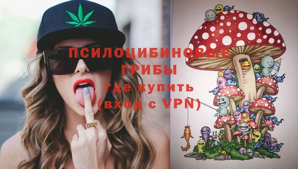гашик Баксан