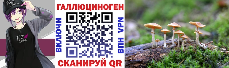 Псилоцибиновые грибы MAGIC MUSHROOMS  blacksprut маркетплейс  Радужный  как найти закладки 